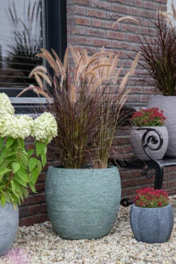 Bloempot Arizona Bullet Cypress Wash - D44 X H39cm - Groen -Tuinplantenwinkel arizona bullet cypress wash d44h39 bloempot 7 9