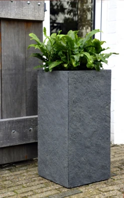 Plantenbak Arizona Cubihi - L28 X B28 X H60cm - Donkergrijs -Tuinplantenwinkel arizona cubihi graphite w28h60 plantenbak 7 4