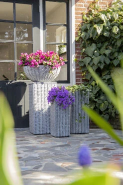 Plantenschaal Arkansas - D28 X H11.5cm - Lichtgrijs -Tuinplantenwinkel arkansas bowl low washed grey d28h115 bloempot 7 9