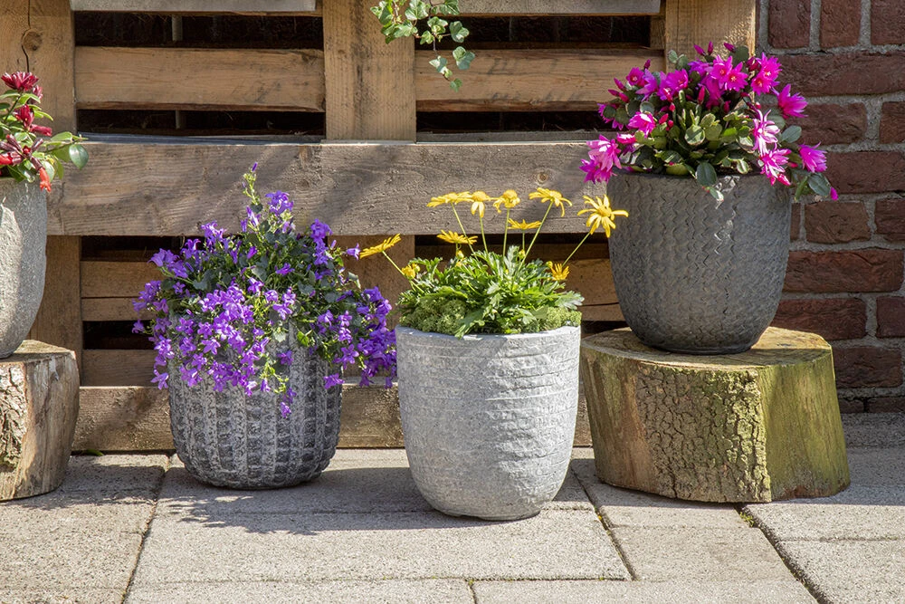 Bloempot Arkansas Egg Washed - D45 X H43cm - Lichtgrijs 5 Bloempot Arkansas Egg Washed - D45 X H43cm - Lichtgrijs - Afbeelding 3