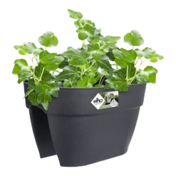 Elho Balkonbak Vibia Campana Bridge 40cm - Antraciet -Tuinplantenwinkel balkonbak vibia campana bridge 40cm antraciet balkonbak antraciet 3 1
