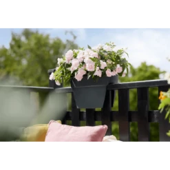 Elho Balkonbak Vibia Campana Bridge 40cm - Antraciet -Tuinplantenwinkel balkonbak vibia campana bridge 40cm antraciet balkonbak antraciet 5 1