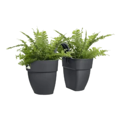 Elho Balkonbak Vibia Campana Twin 21cm - Antraciet -Tuinplantenwinkel balkonbak vibia campana twin 21cm antraciet balkonbak antraciet 3 1