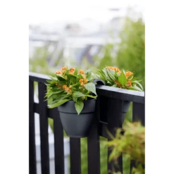 Elho Balkonbak Vibia Campana Twin 21cm - Antraciet -Tuinplantenwinkel balkonbak vibia campana twin 21cm antraciet balkonbak antraciet 5 1