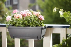 Balkonbak Elho Barcelona Allin 1 50cm - Antraciet -Tuinplantenwinkel barcelona allin1 50cm plantenbak antraciet 7 18