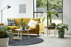 Bloempot Elho B.for Original Rond 25cm - Bladgroen -Tuinplantenwinkel bfor original rond 25cm bloempot bladgroen 7 17