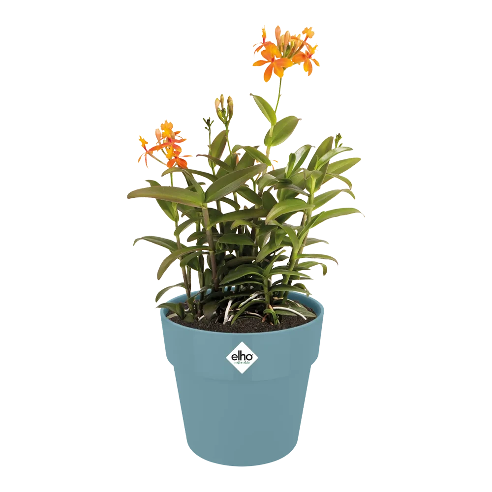 Bloempot Elho B.for Original Rond 25cm - Duifblauw 5 Bloempot Elho B.for Original Rond 25cm - Duifblauw - Afbeelding 3