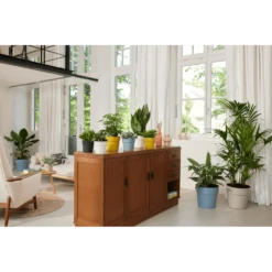 Bloempot Elho B.for Original Rond 25cm - Duifblauw 9 Bloempot Elho B.for Original Rond 25cm - Duifblauw -Tuinplantenwinkel bfor original rond bloempot duifblauw 4 1