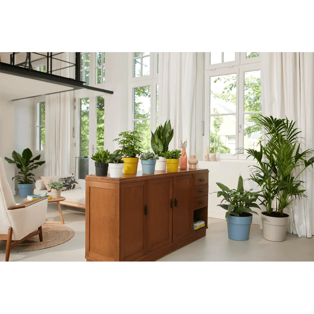 Bloempot Elho B.for Original Rond 25cm - Duifblauw 6 Bloempot Elho B.for Original Rond 25cm - Duifblauw - Afbeelding 4