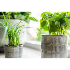 Bloempot Denise - D17 X H17cm - Off White -Tuinplantenwinkel bloempot denise d17 x h17cm off white bloempot 3