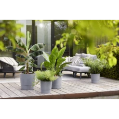 Bloempot Elho Greensense Aqua Care Rond - D30 X H29cm - Licht Beton 12 Bloempot Elho Greensense Aqua Care Rond - D30 X H29cm - Licht Beton -Tuinplantenwinkel bloempot elho greensense aqua care rond d30 x h29cm licht beton bloempot 5 1