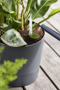 Bloempot Elho Greensense Aqua Care Rond - D35 X H34cm - Houtskoolgrijs -Tuinplantenwinkel bloempot elho greensense aqua care rond d35 x h34cm houtskoolgrijs bloempot 6 1