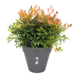 Bloempot Elho Loft Urban Rond 60cm - Antraciet -Tuinplantenwinkel bloempot elho loft urban rond antraciet bloempot antraciet 3 2 1
