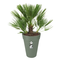 Bloempot Elho Loft Urban Rond Hoog 28cm - Pistache Groen -Tuinplantenwinkel bloempot elho loft urban rond hoog 28cm antraciet bloempot pistache groen 3 1