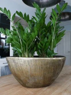 Bloempot Kos Ovaal - L39 X B20 X H31cm - Goud 6 Bloempot Kos Ovaal - L39 X B20 X H31cm - Goud -Tuinplantenwinkel bloempot kos ovaal goud bloempot 2 1