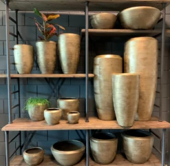 Plantenschaal Kos - D25 X H16cm - Goud -Tuinplantenwinkel bloempot kos serie goud bloempot 3 1 8