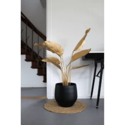 Bloempot Petra - D27 X H24cm - Mat Zwart 8 Bloempot Petra - D27 X H24cm - Mat Zwart -Tuinplantenwinkel bloempot petra mat zwart 3