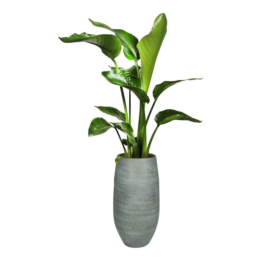 Bloempot Ryan Hoog - D19 X H50cm - Shiny Blue 4 Bloempot Ryan Hoog - D19 X H50cm - Shiny Blue - Afbeelding 2