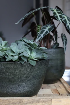 Bloempot Tokio Ovaal - L52 X B17 X H37cm - Groen -Tuinplantenwinkel bloempot tokio ovaal groen bloempot 2 1 1