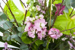 Boeket Anthurium Klein 10 Boeket Anthurium Klein -Tuinplantenwinkel boeket anthurium boeketten 3