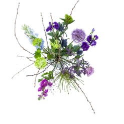 Uitgelichte producten 2 Boeket Biezen Middel