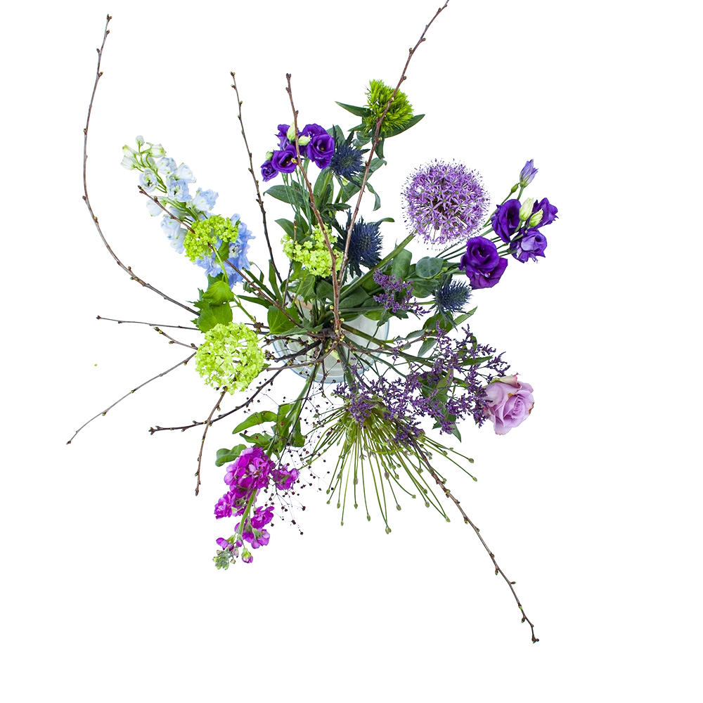 Boeket Biezen Groot 3 Boeket Biezen Groot