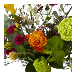 Boeket De Lente Groot 10 Boeket De Lente Groot -Tuinplantenwinkel boeket de lente boeketten 3