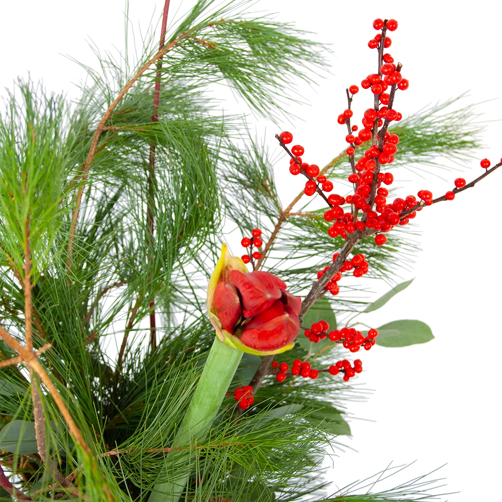 Boeket Deluxe Winter Klein 4 Boeket Deluxe Winter Klein - Afbeelding 2