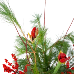 Boeket Deluxe Winter Klein 9 Boeket Deluxe Winter Klein -Tuinplantenwinkel boeket deluxe winter boeketten 3 1 1