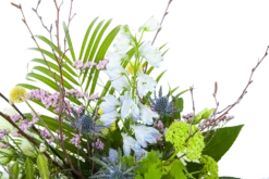 Boeket Erica Groot 9 Boeket Erica Groot -Tuinplantenwinkel boeket erica boeketten 3 1