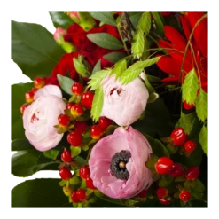 Boeket Fijne Moederdag Groot 10 Boeket Fijne Moederdag Groot -Tuinplantenwinkel boeket fijne moederdag 3 2