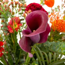 Boeket Herfst Warmte Groot -Tuinplantenwinkel boeket herfst warmte groot boeketten 4