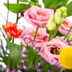 Boeket Kleurrijk Geplukt Klein 9 Boeket Kleurrijk Geplukt Klein -Tuinplantenwinkel boeket kleurrijk geplukt boeketten 3