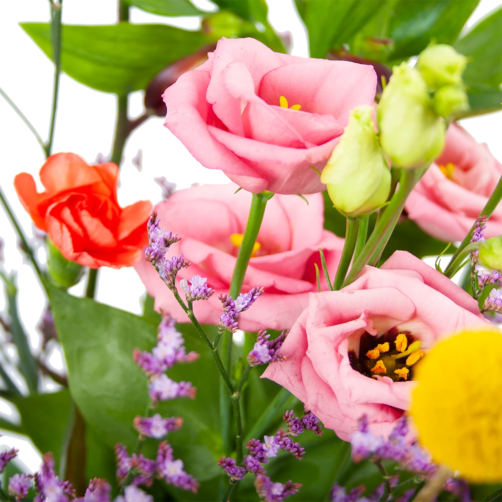 Boeket Kleurrijk Geplukt Klein 5 Boeket Kleurrijk Geplukt Klein - Afbeelding 3