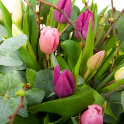 Boeket Kleurrijke Tulp Groot -Tuinplantenwinkel boeket kleurrijke tulp boeketten 3