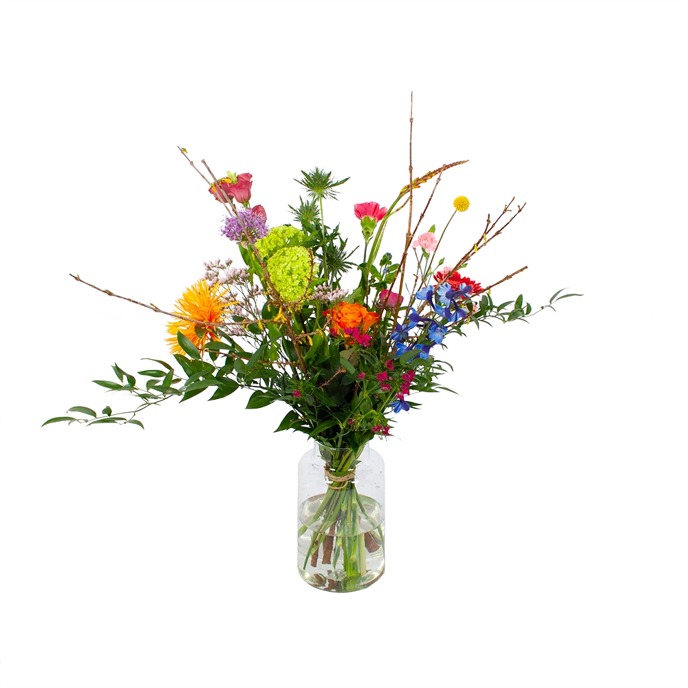 Boeket Kleurrijke Verrassing Groot 3 Boeket Kleurrijke Verrassing Groot