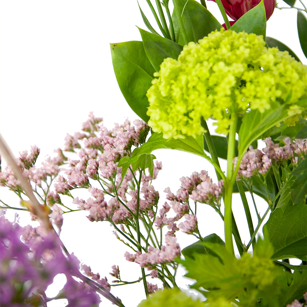 Boeket Kleurrijke Verrassing Middel 4 Boeket Kleurrijke Verrassing Middel - Afbeelding 2