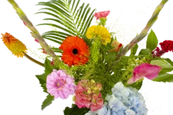 Boeket Lach Middel 10 Boeket Lach Middel -Tuinplantenwinkel boeket lach boeketten 3 1