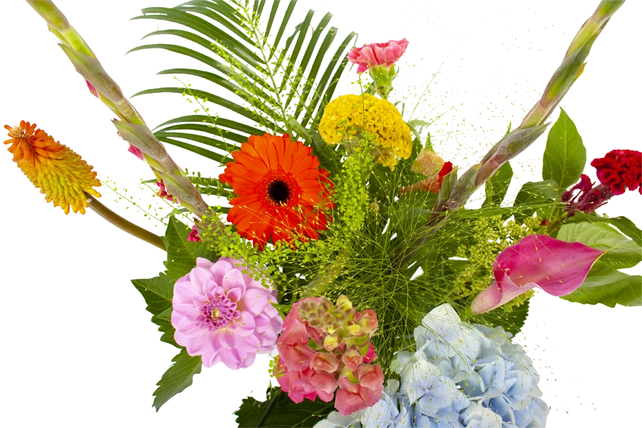 Boeket Lach Middel 5 Boeket Lach Middel - Afbeelding 3