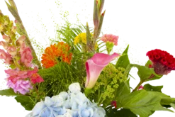 Boeket Lach Middel 11 Boeket Lach Middel -Tuinplantenwinkel boeket lach boeketten 4 1