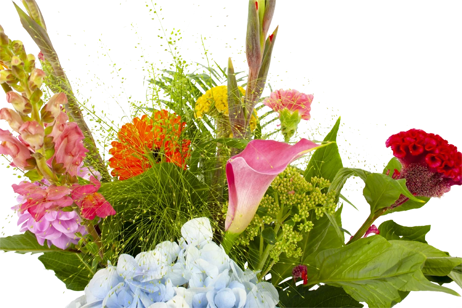 Boeket Lach Middel 6 Boeket Lach Middel - Afbeelding 4