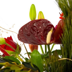 Boeket Liefdevolle Kerst Klein -Tuinplantenwinkel boeket liefdevolle kerst boeketten 4 1