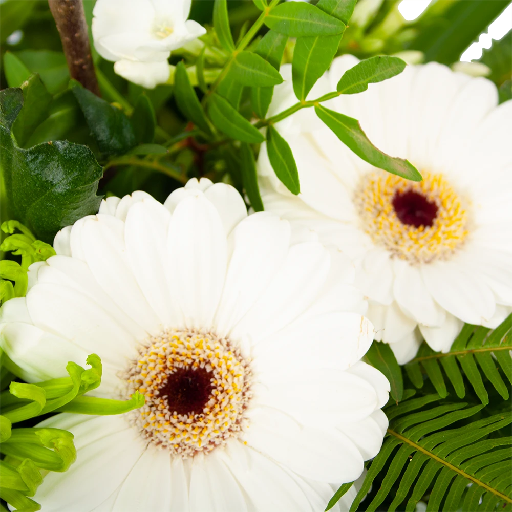 Boeket Liefdevolle Winter Groot 4 Boeket Liefdevolle Winter Groot - Afbeelding 2