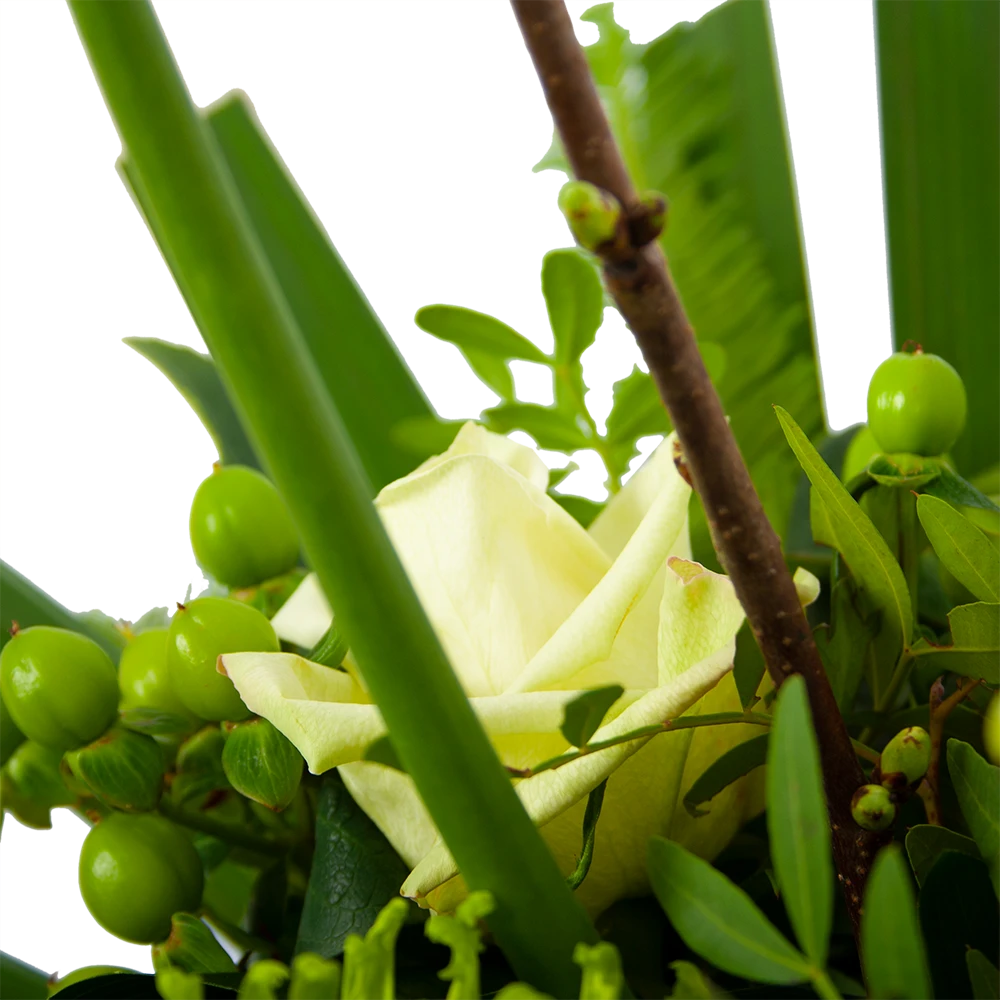 Boeket Liefdevolle Winter Groot 6 Boeket Liefdevolle Winter Groot - Afbeelding 4