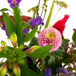 Boeket Paarse Passie Middel -Tuinplantenwinkel boeket paarse passie middel boeketten 4