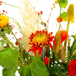 Boeket Pluim Van Het Najaar Groot -Tuinplantenwinkel boeket pluim van het najaar groot boeketten 4