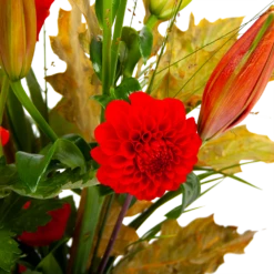 Boeket Pluim Van Het Najaar Klein -Tuinplantenwinkel boeket pluim van het najaar klein boeketten 3