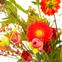 Boeket Plukgeluk Klein -Tuinplantenwinkel boeket plukgeluk klein boeketten 3