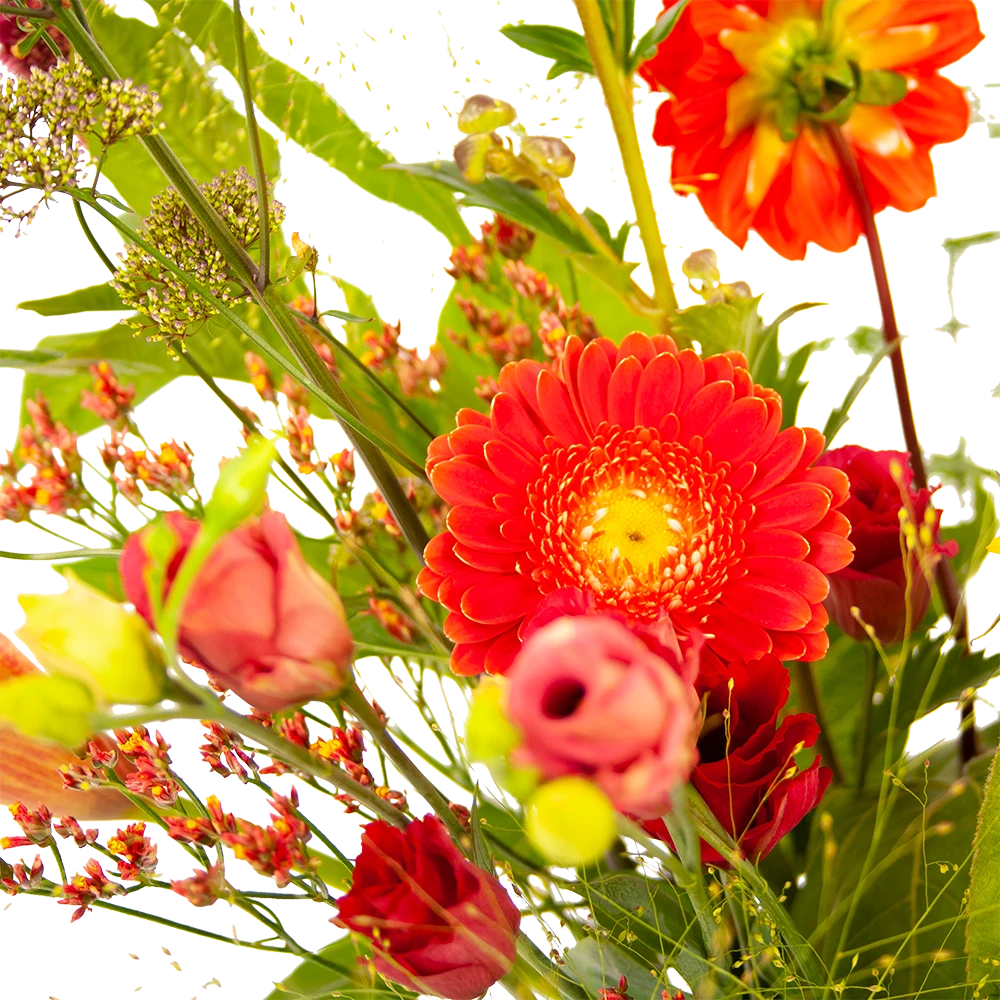 Boeket Plukgeluk Middel 5 Boeket Plukgeluk Middel - Afbeelding 3