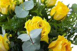 Boeket Rosa Geel Groot -Tuinplantenwinkel boeket rosa geel boeketten 3